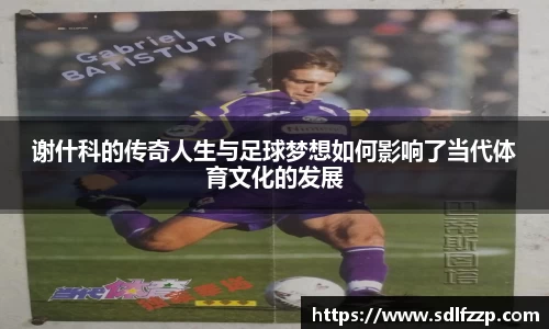 yy易游体育官网