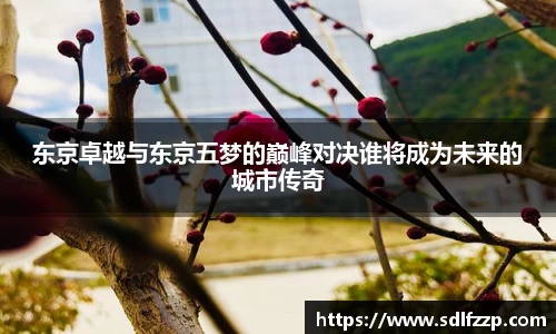 yy易游mile