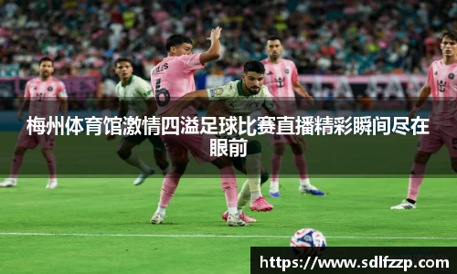 yy易游体育